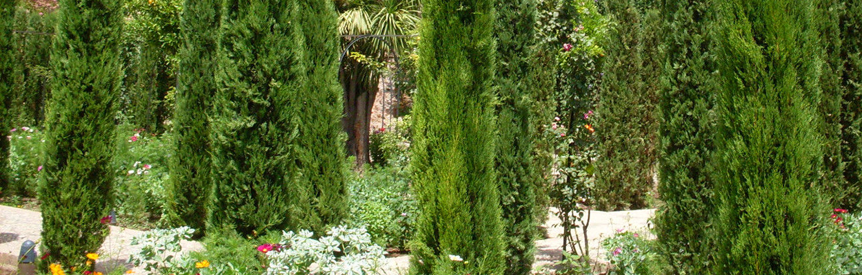 cimiterios